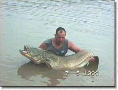 ebro_65kg.jpg
