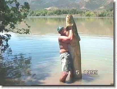 ebro_90pond.jpg