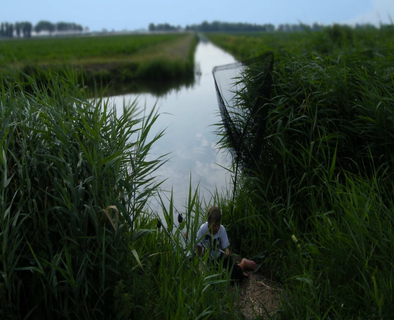 polder_02.jpg