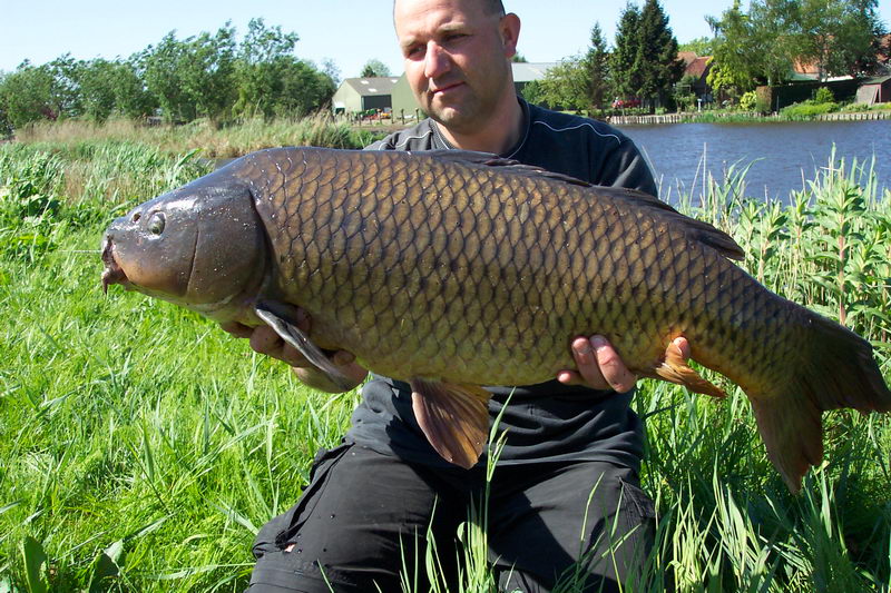 polder_26.JPG