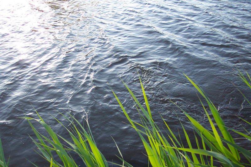 polder_32.JPG