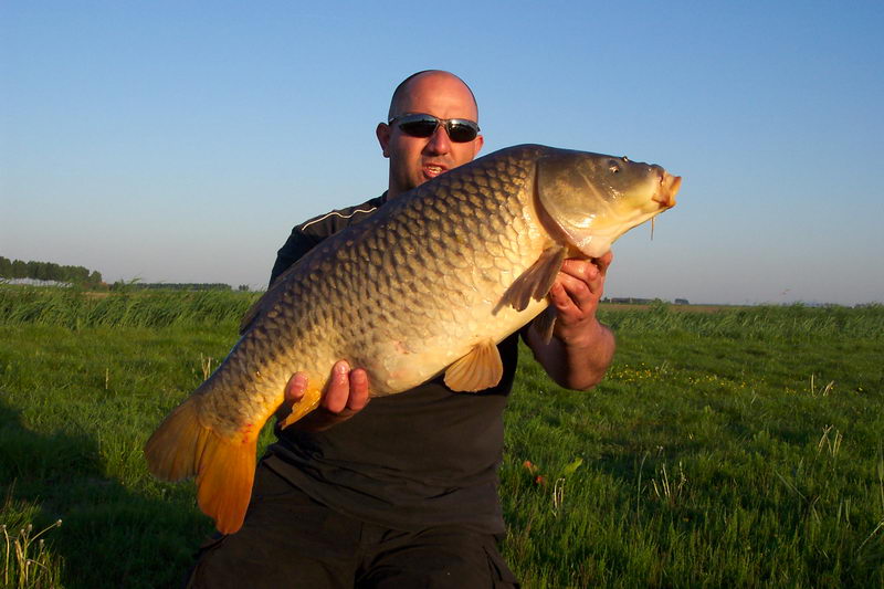 polder_33.JPG