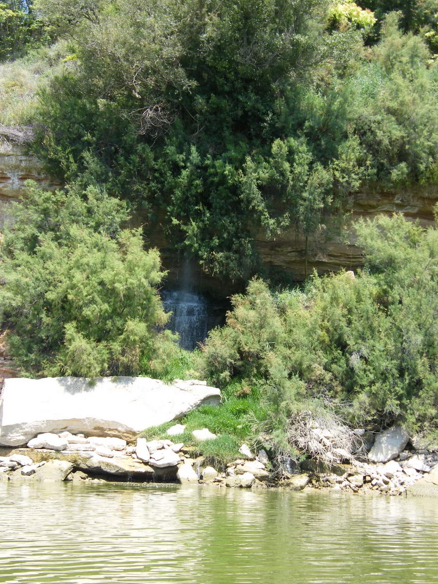 silures072.jpg