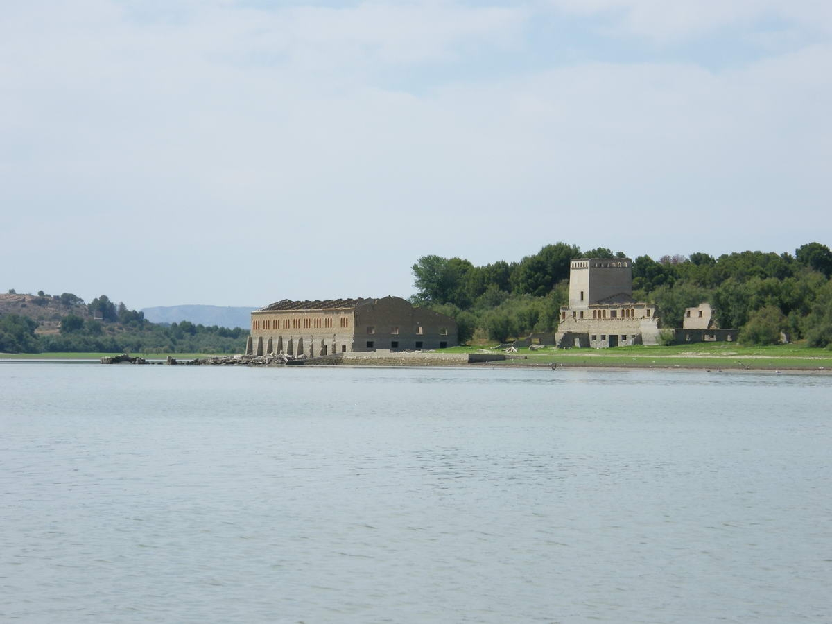 silures078.jpg