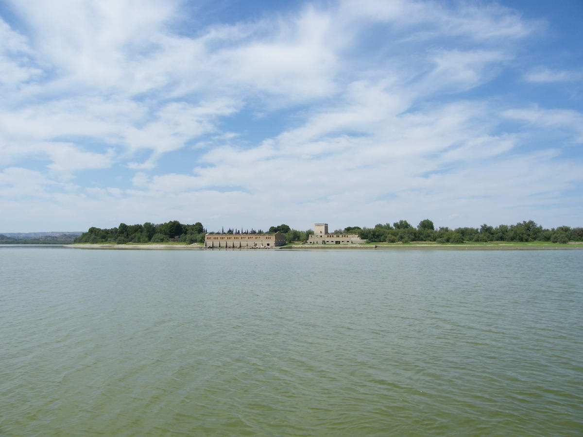 silures079.jpg