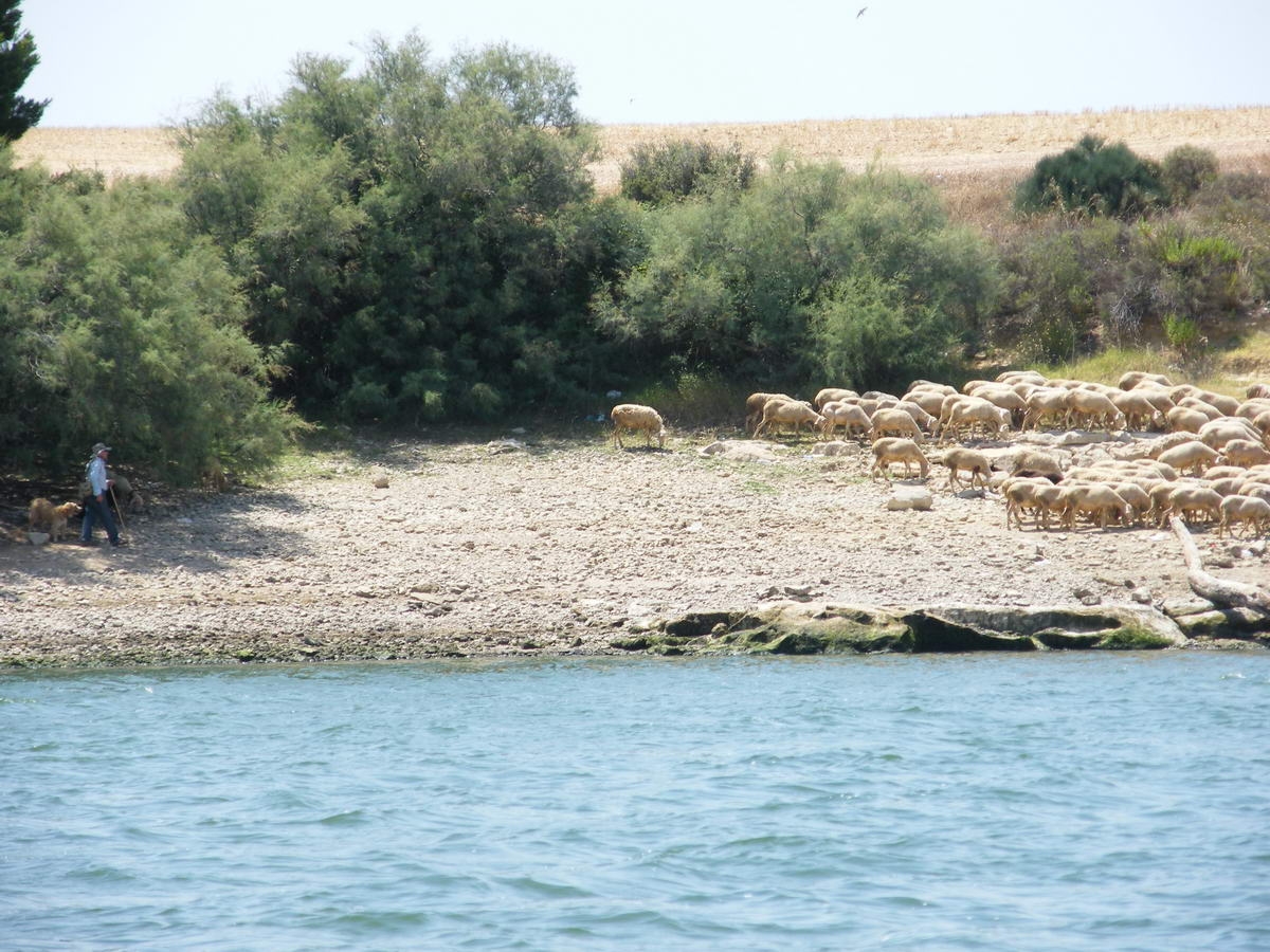 silures097.jpg