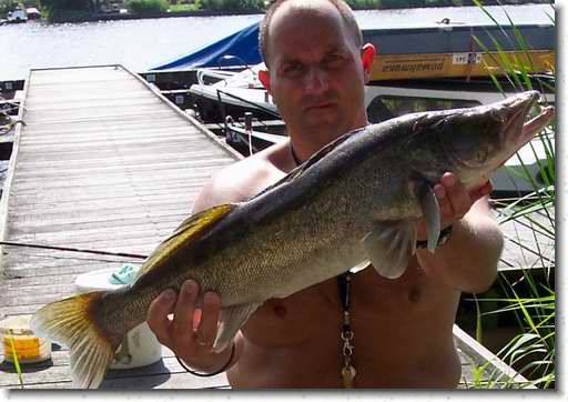snoekbaars04.jpg