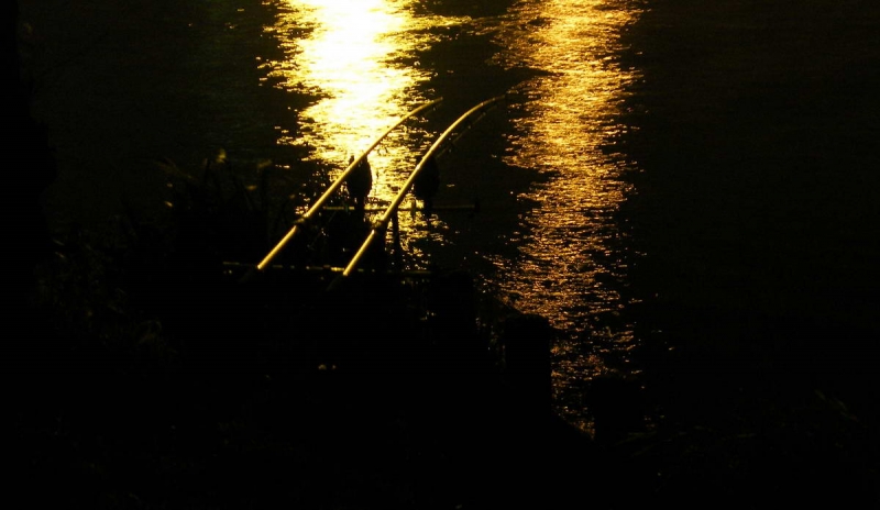 2008_036.JPG